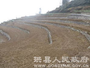 珙縣土地整理項目迎接市國土資源局初次評估驗收，為房地產開發奠定基礎